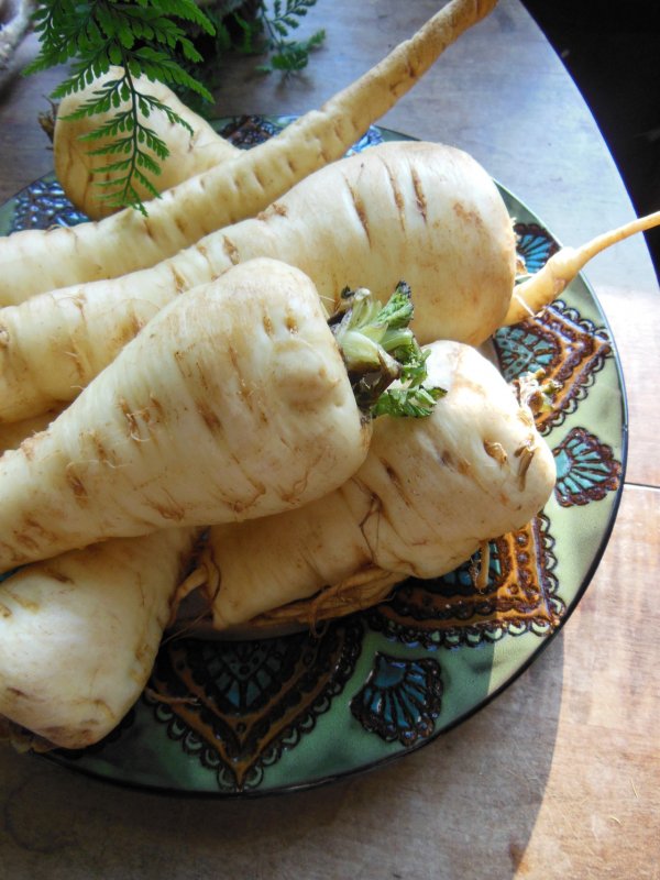 Parsnips