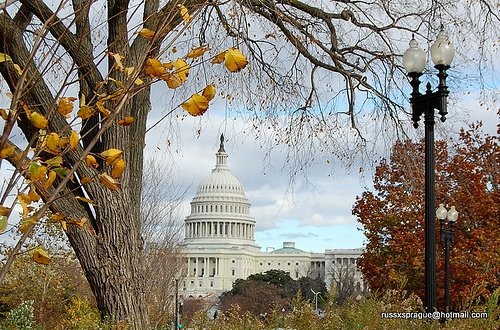 Washington DC