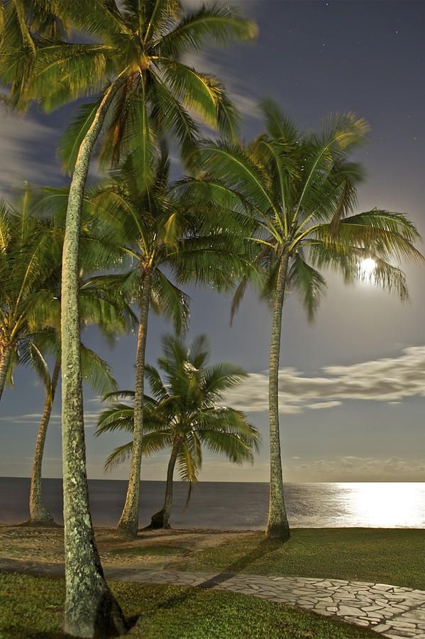 Palm Cove Beach, Palm Cove