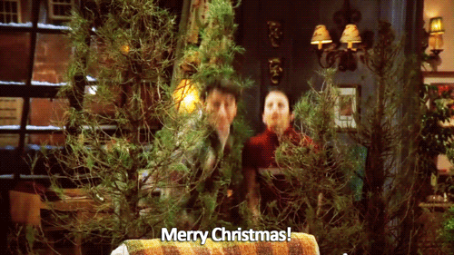 christmas decoration, jungle, screenshot, Merry, Christmas!,