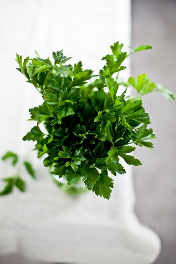 Fresh Parsley