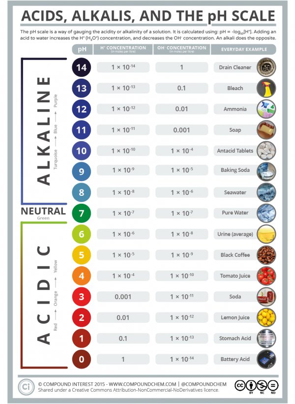 PH Scale