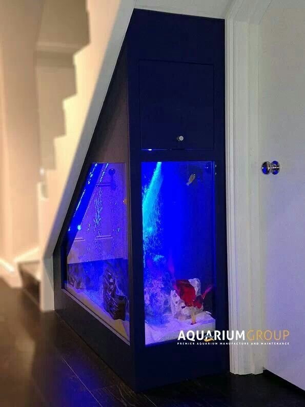 blue,glass,window,AQUARIUM,ROUP,