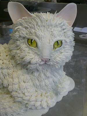 Cat Cake