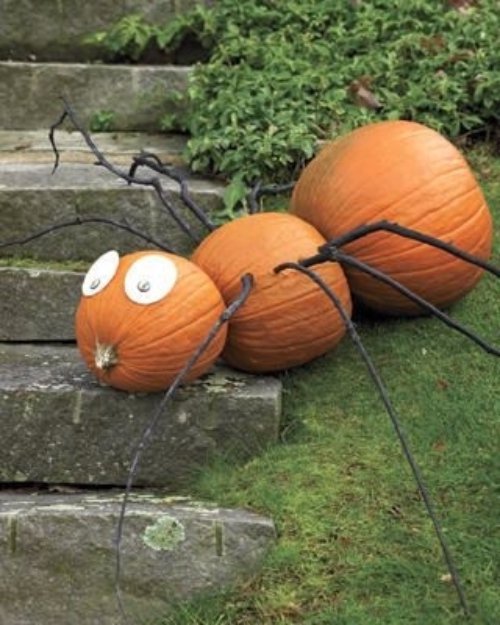 The Pumpkin Spider