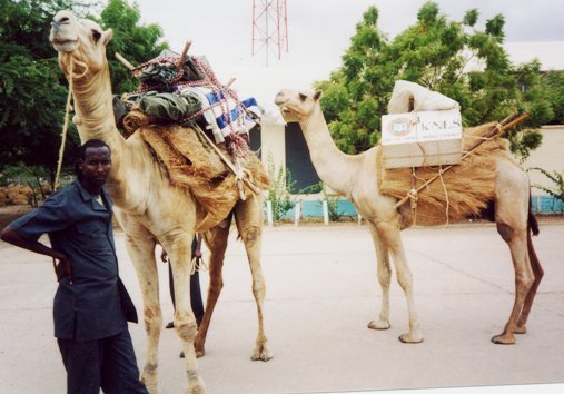 The Kenyan Camel Library – Kenya