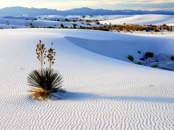 White Sands National Monument, Alamogordo, New Mexico