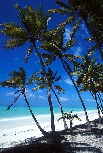 Paje Beach, Paje, Zanzibar, Tanzania