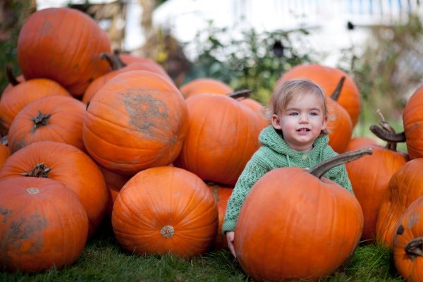 Plumper Pumpkins, Portland, Oregon