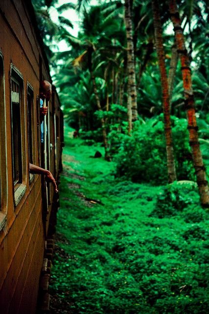 Take a Train Ride Though the Hill Country