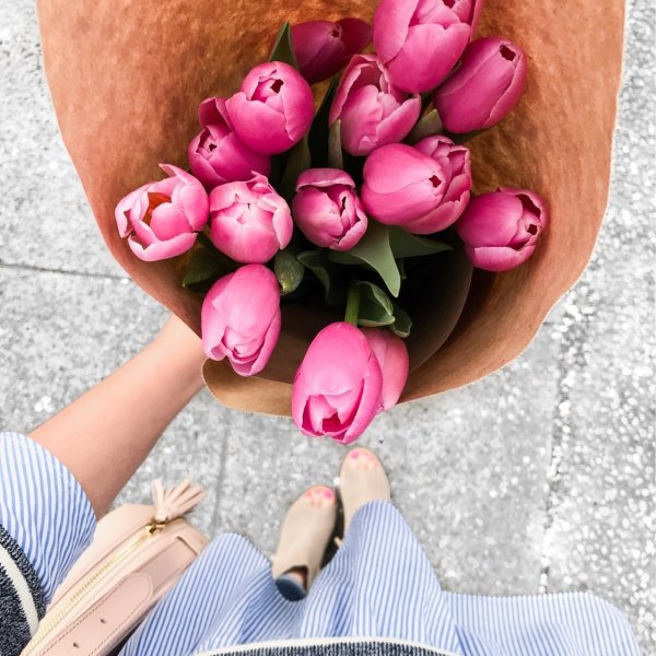 pink, flower, magenta, finger, hand,
