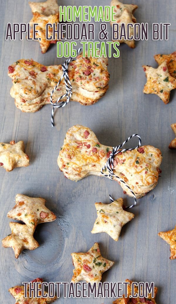 Homemade Apple, Cheddar & Bacon Bits Dog Treat