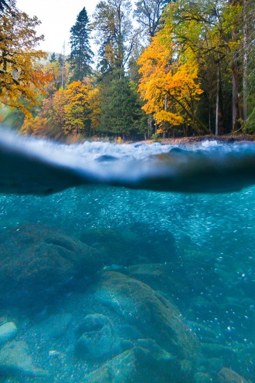 Chilly Olympic National Park, WA