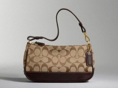 coach demi bag