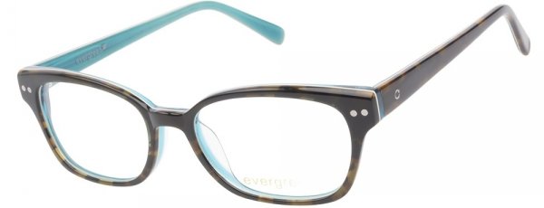 Evergreen 6013 Dark Tortoise Aqua