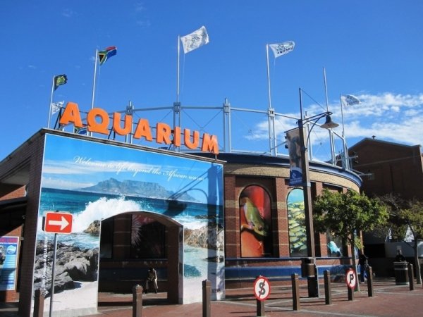 Visit the Two Oceans Aquarium