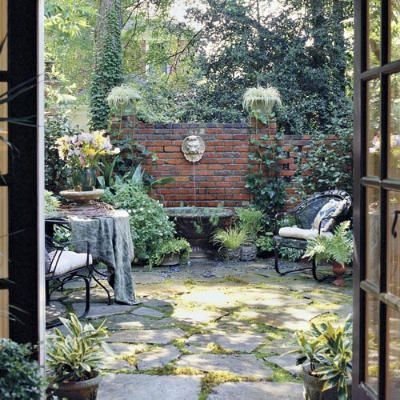 Out of the Lion's Mouth