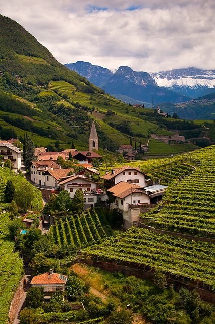 Ritten Vineyards, Austria