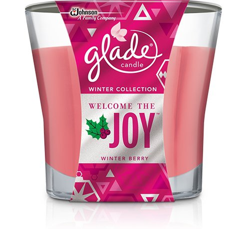 Welcome the Joy: Winter Berry