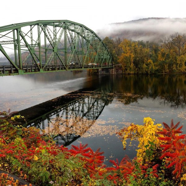 nature, reflection, leaf, bridge, water,