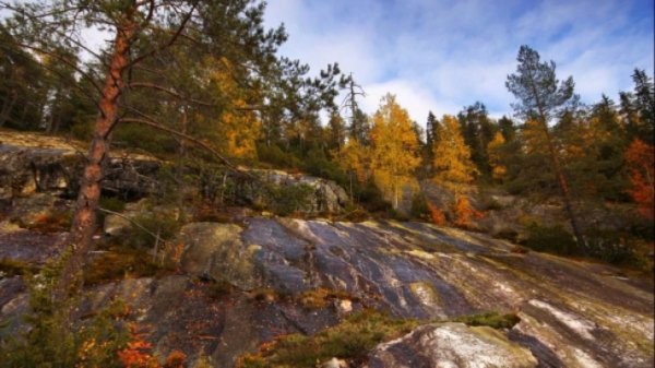 Koli National Park, Finland