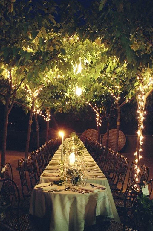 2. Outdoor Nature Reception