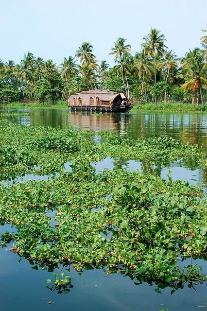 Backwaters, Kerala