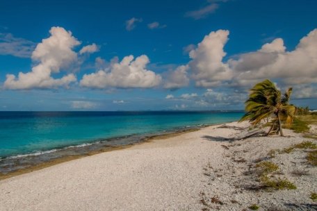 Pink Beach, Bonaire