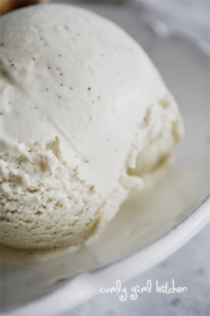 Vanilla Bean Ice Cream