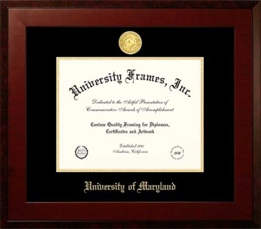 Framed Diploma