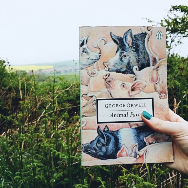 Animal Farm by George Orwell