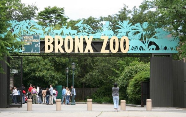 Bronx Zoo, New York