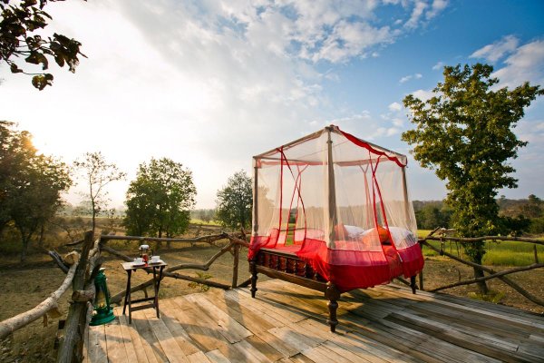 Sleep with the Tigers in Pench, India