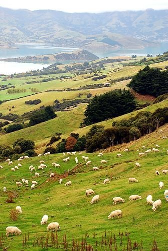 Akaroa Harbour