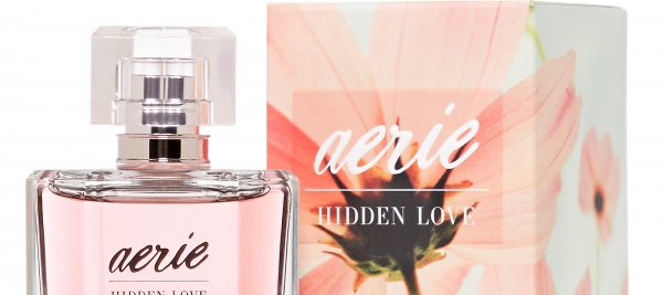 Aerie Hidden Love