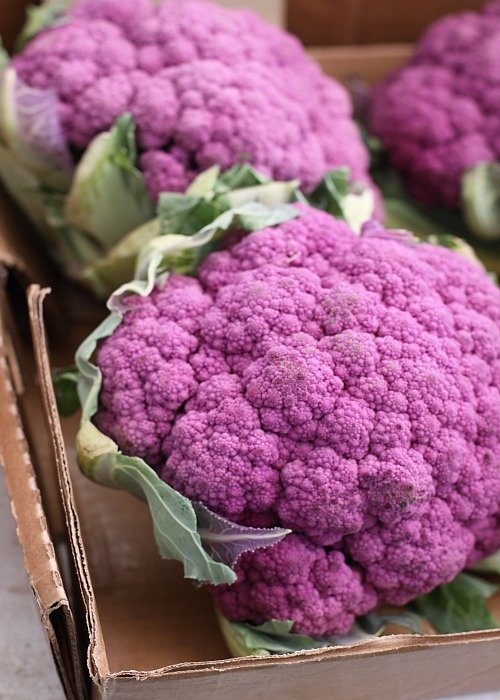 Purple Cauliflower