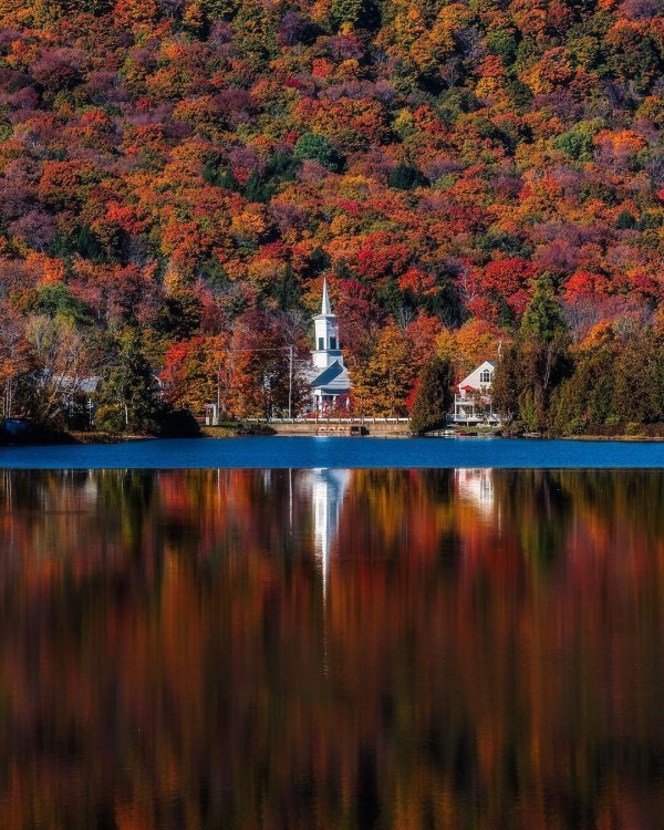 reflection, nature, water, leaf, autumn,