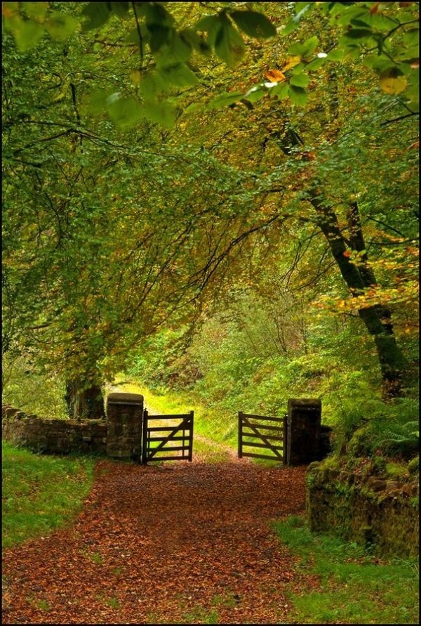 Limerick, Ireland