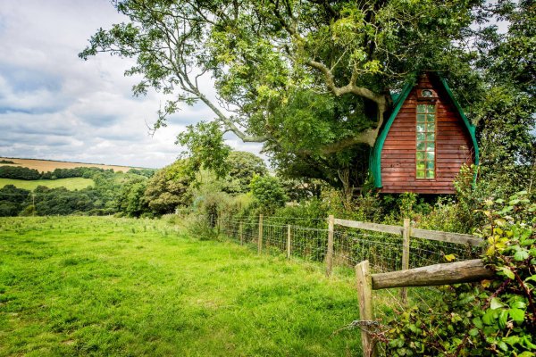 rural area,agriculture,plantation,forest,woodland,