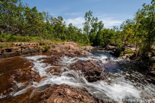 Season 9 – Australia’s Spider River