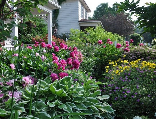 9 Wonderful Ways to Make Your Yard Aesthetically Pleasing ...