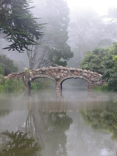 Golden Gate Park Lakes