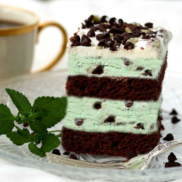 Mint Chocolate Chip Ice-Cream Cake