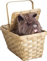 Wizard of Oz Toto in a Basket