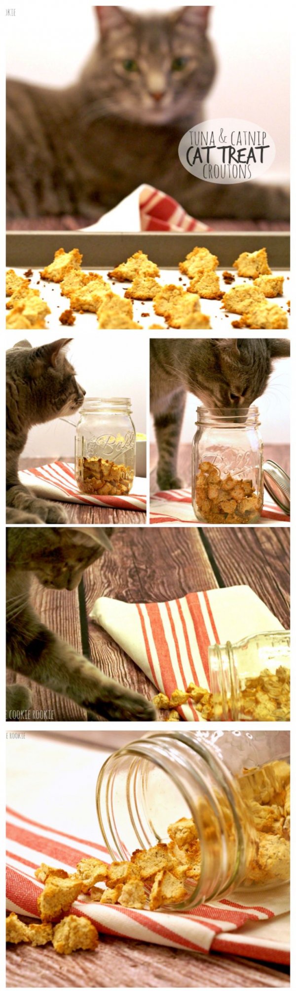 Homemade Salmon & Catnip Cat Treat Croutons