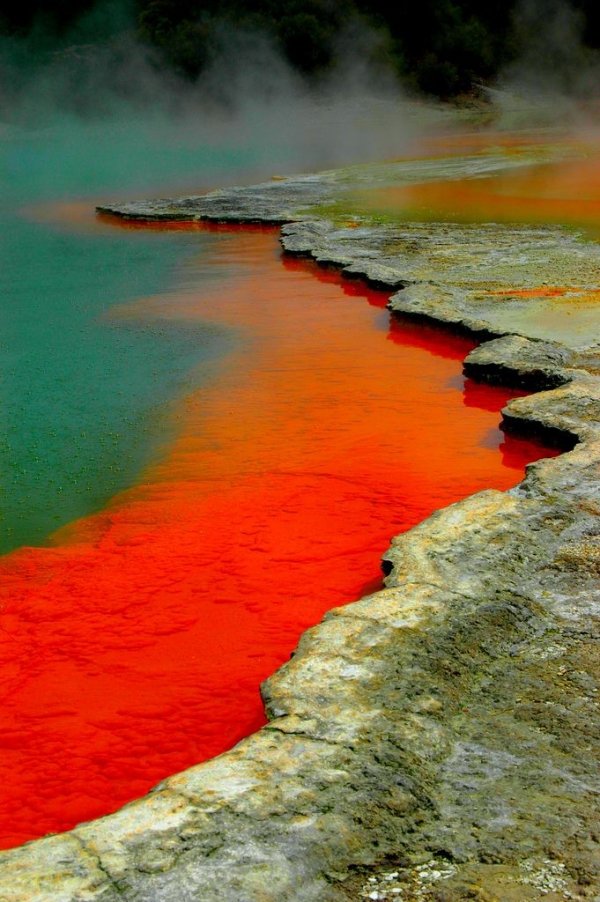 Waiotapu Thermal Reserve, Rotorua