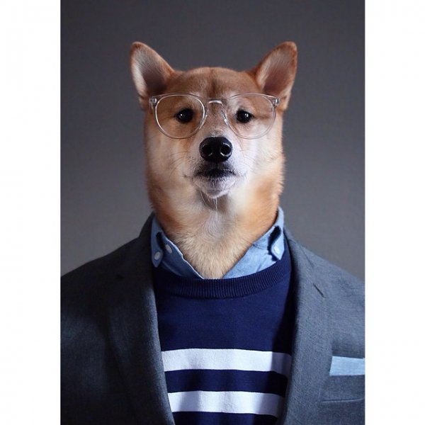 @mensweardog suits up