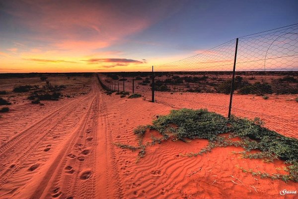 Australia’s Deserts