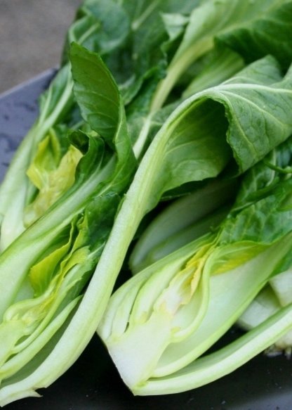 Bok Choy