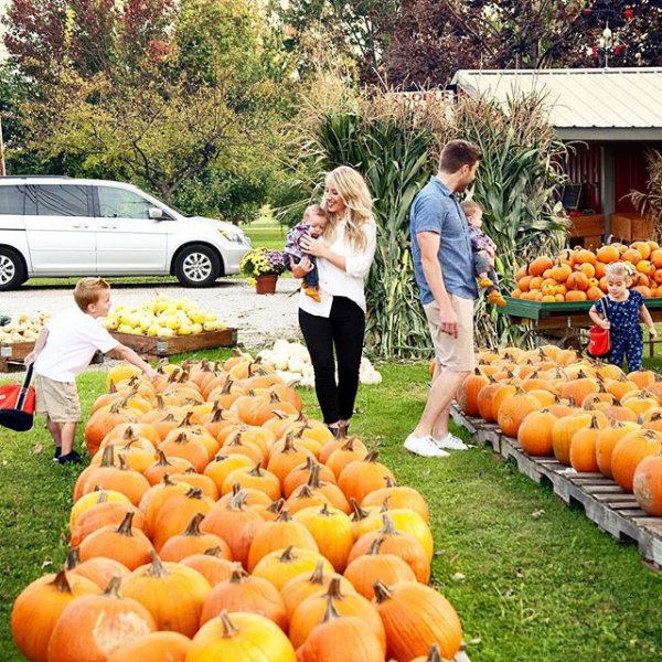 produce, pumpkin, plant, marketplace, fruit,